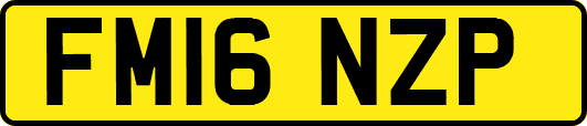 FM16NZP