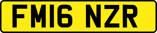 FM16NZR