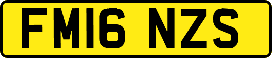 FM16NZS