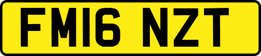 FM16NZT