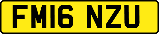 FM16NZU