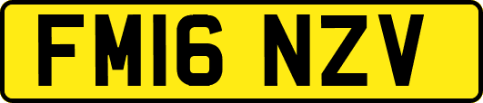 FM16NZV