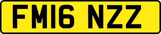 FM16NZZ
