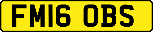 FM16OBS