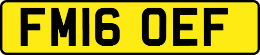 FM16OEF