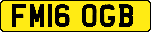 FM16OGB