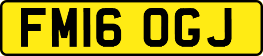 FM16OGJ