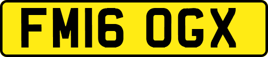 FM16OGX