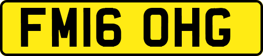 FM16OHG