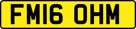 FM16OHM