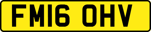 FM16OHV