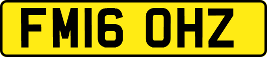 FM16OHZ