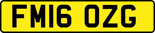 FM16OZG