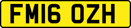 FM16OZH