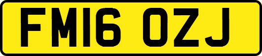 FM16OZJ