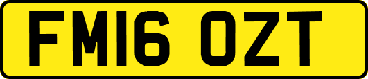 FM16OZT