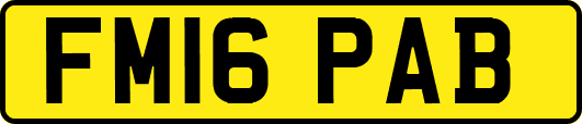 FM16PAB