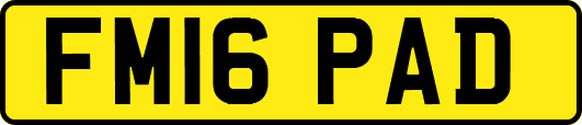 FM16PAD
