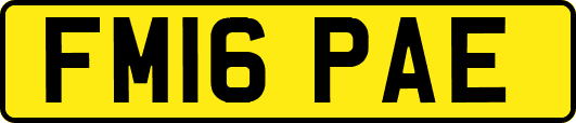 FM16PAE
