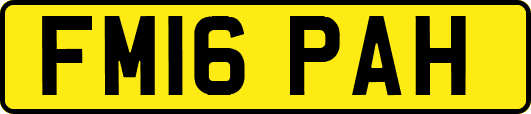 FM16PAH