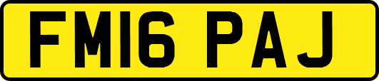 FM16PAJ