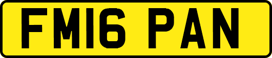 FM16PAN