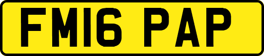 FM16PAP