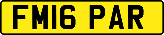 FM16PAR