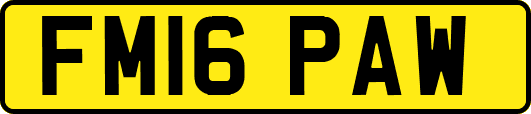 FM16PAW