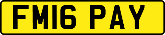 FM16PAY
