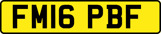 FM16PBF