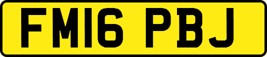 FM16PBJ