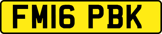 FM16PBK