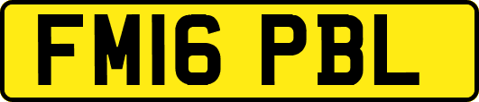 FM16PBL