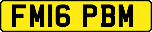 FM16PBM