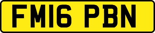 FM16PBN