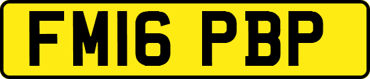 FM16PBP