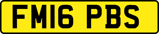 FM16PBS