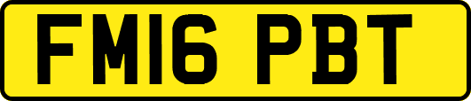 FM16PBT