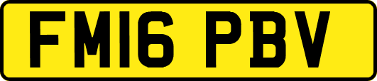FM16PBV