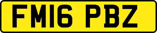 FM16PBZ