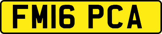 FM16PCA