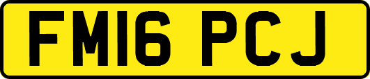 FM16PCJ