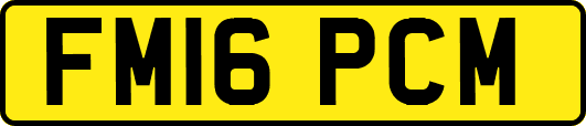 FM16PCM