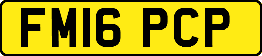 FM16PCP