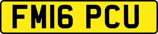 FM16PCU