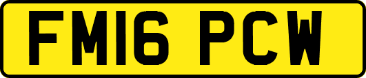 FM16PCW