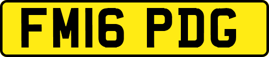FM16PDG