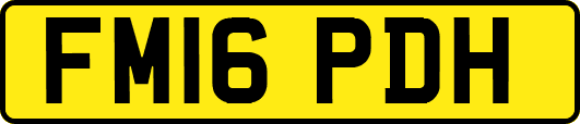 FM16PDH