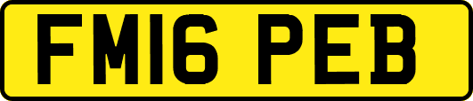 FM16PEB
